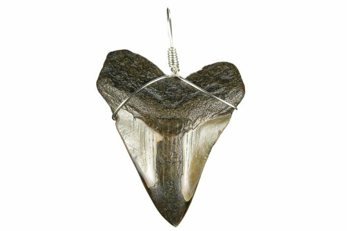 Fossil Megalodon Tooth Necklace #173811